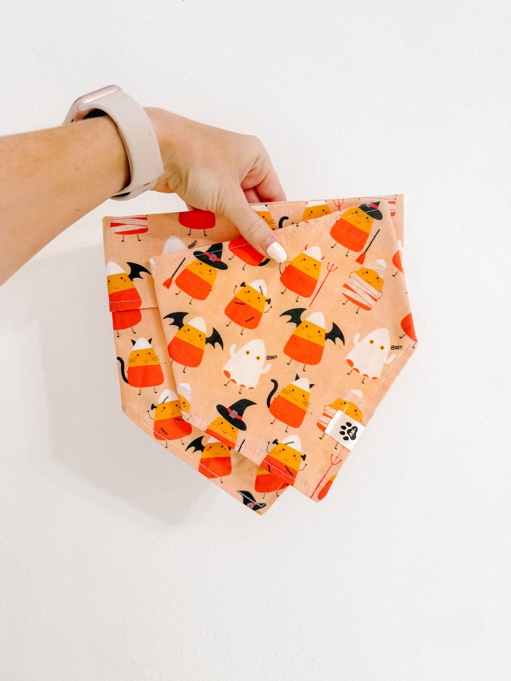 Candy Corn Characters - bandana