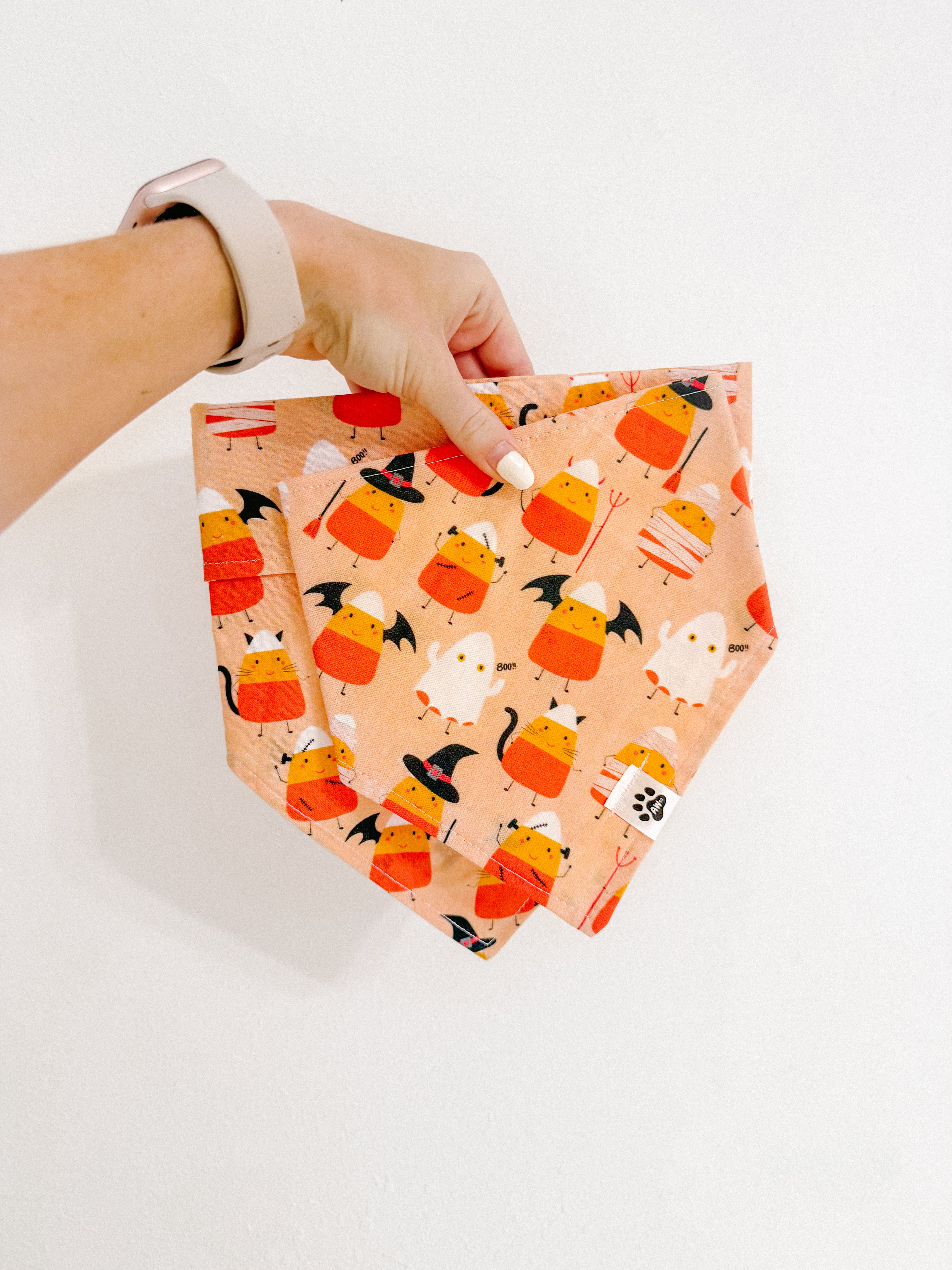 Candy Corn Characters - bandana
