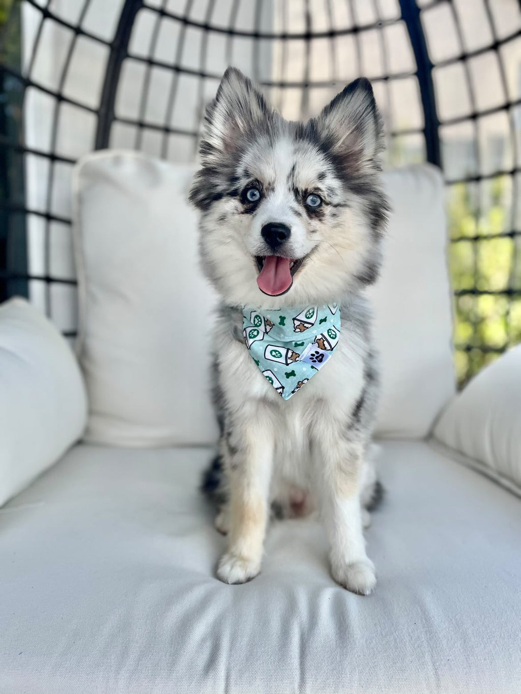 Pup Cup - Bandana