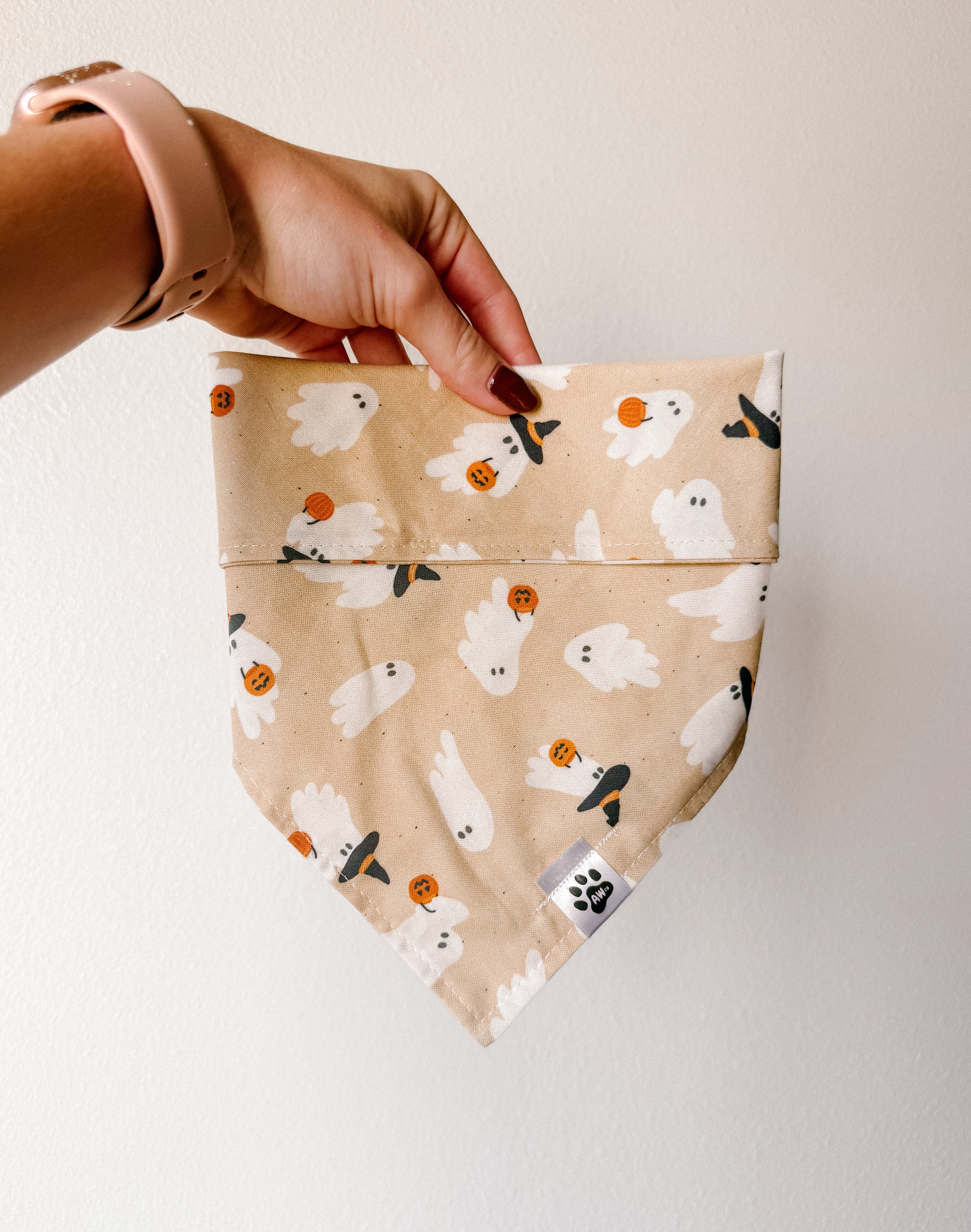 Trick or Treat Ghosts