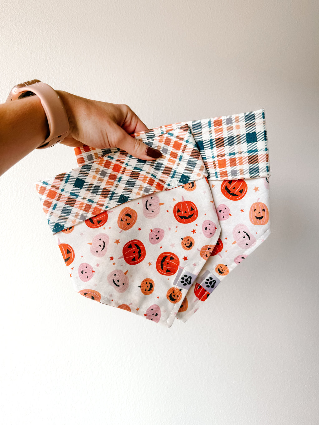 Happy Pumpkins - plaid reversible