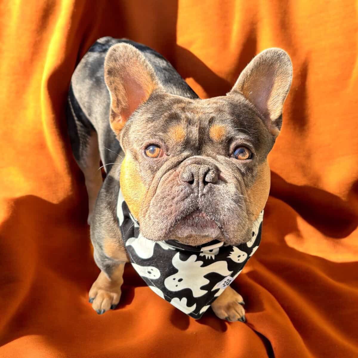 Glowing Ghosts - Bandana